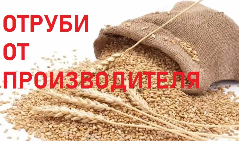 отруби пшеничные от производителя в Твери и Тверской области 3